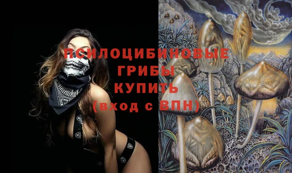 apvp Абдулино