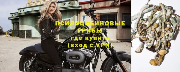 ГАЛЛЮЦИНОГЕННЫЕ ГРИБЫ Алексеевка