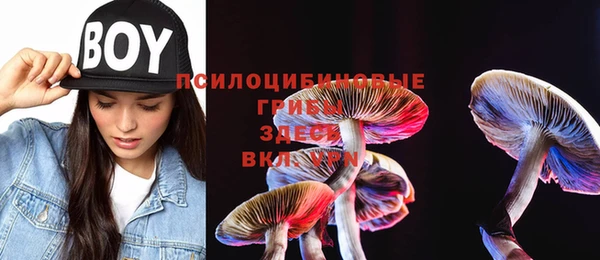 гашиш Абаза
